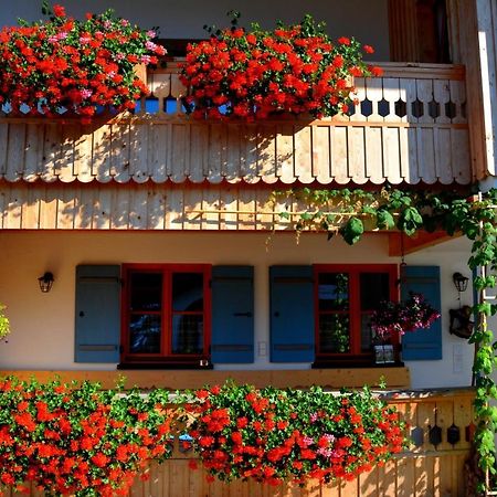 Gaestehaus Wild-Schuetz Schwangau Esterno foto