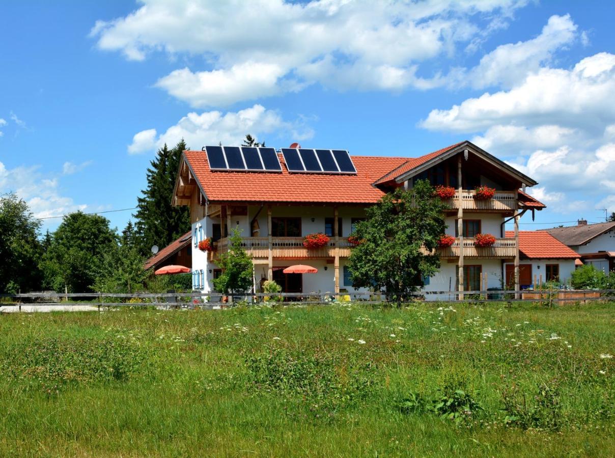 Gaestehaus Wild-Schuetz Schwangau Esterno foto