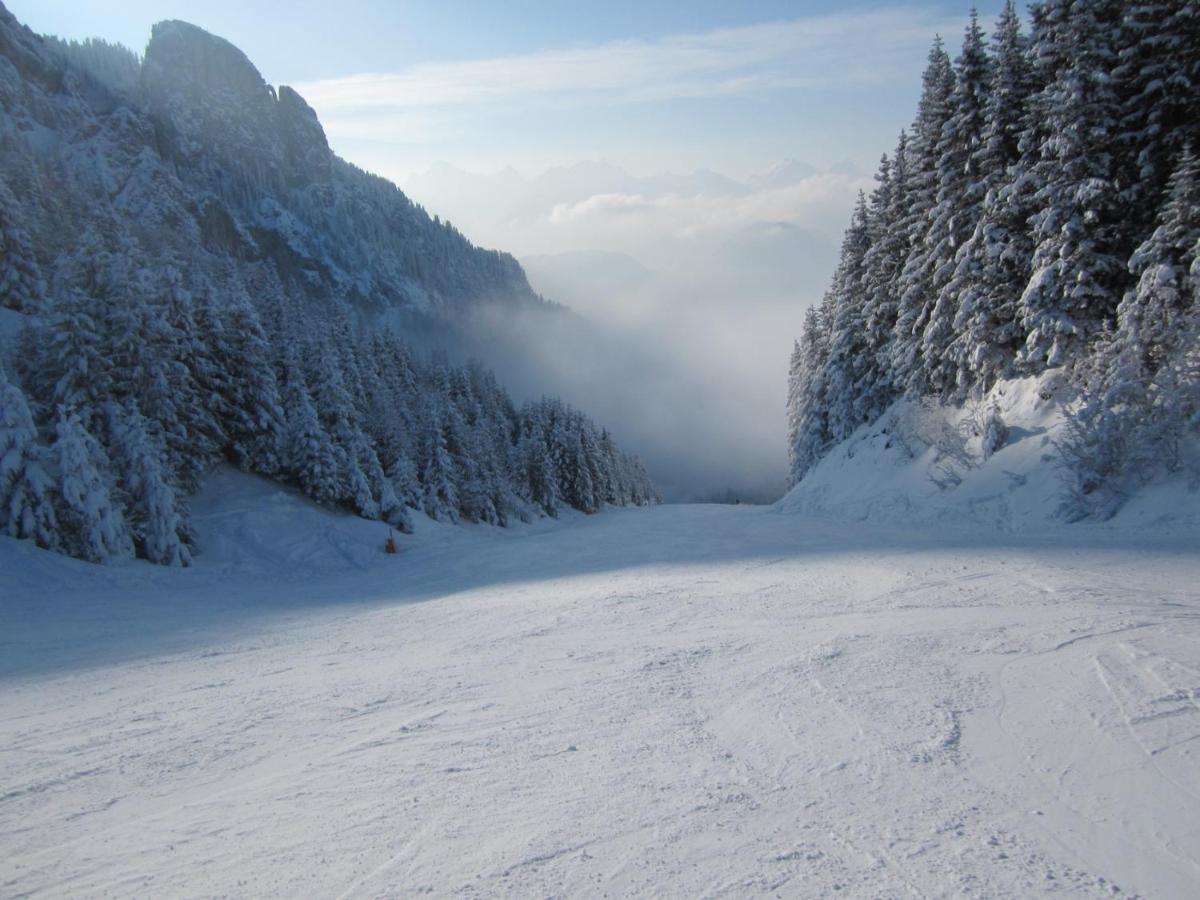 Gaestehaus Wild-Schuetz Schwangau Esterno foto