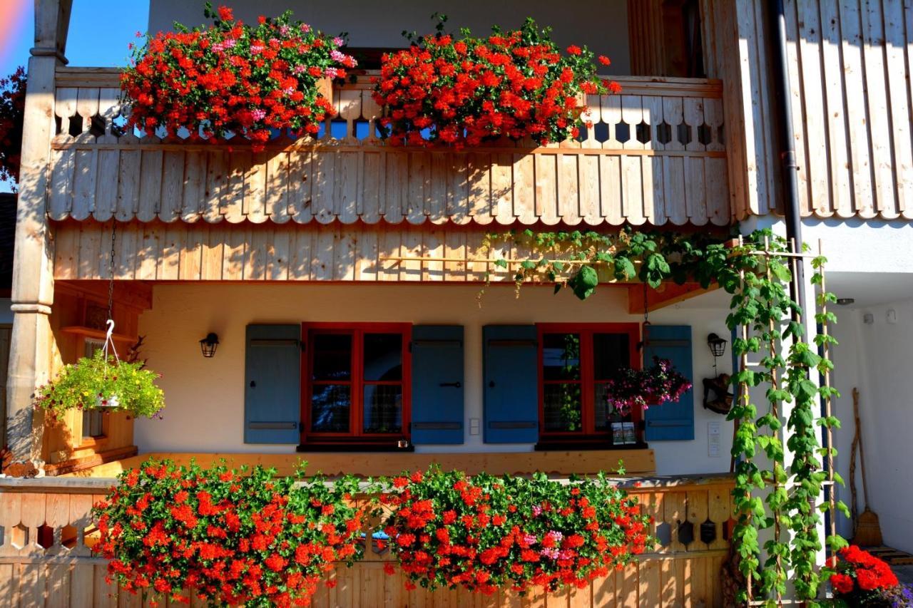 Gaestehaus Wild-Schuetz Schwangau Esterno foto